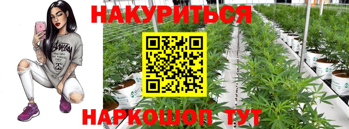 Канабис конопля  Бошки марихуана семена  Вход с VPN  Добрянка  Марихуана сатива 