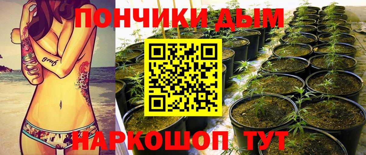 Шишки марихуана MAZAR Добрянка
